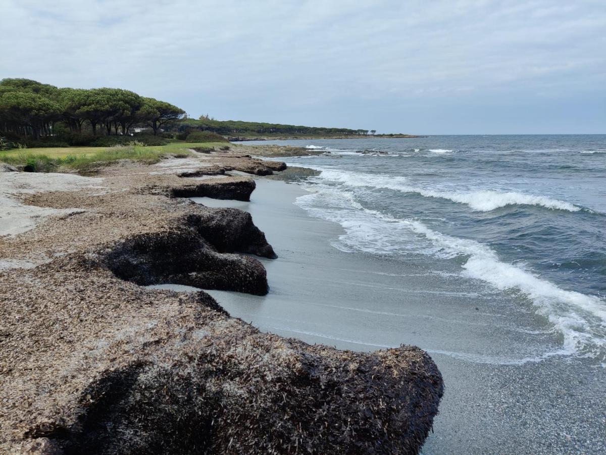 Vila Rotonda Sul Mare Budoni Exteriér fotografie